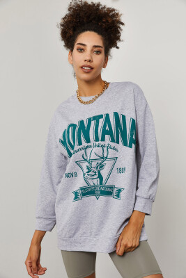 Gri Baskılı Detaylı Kapüşonlü Sweatshirt 3YXK8-47143-03 - XHAN